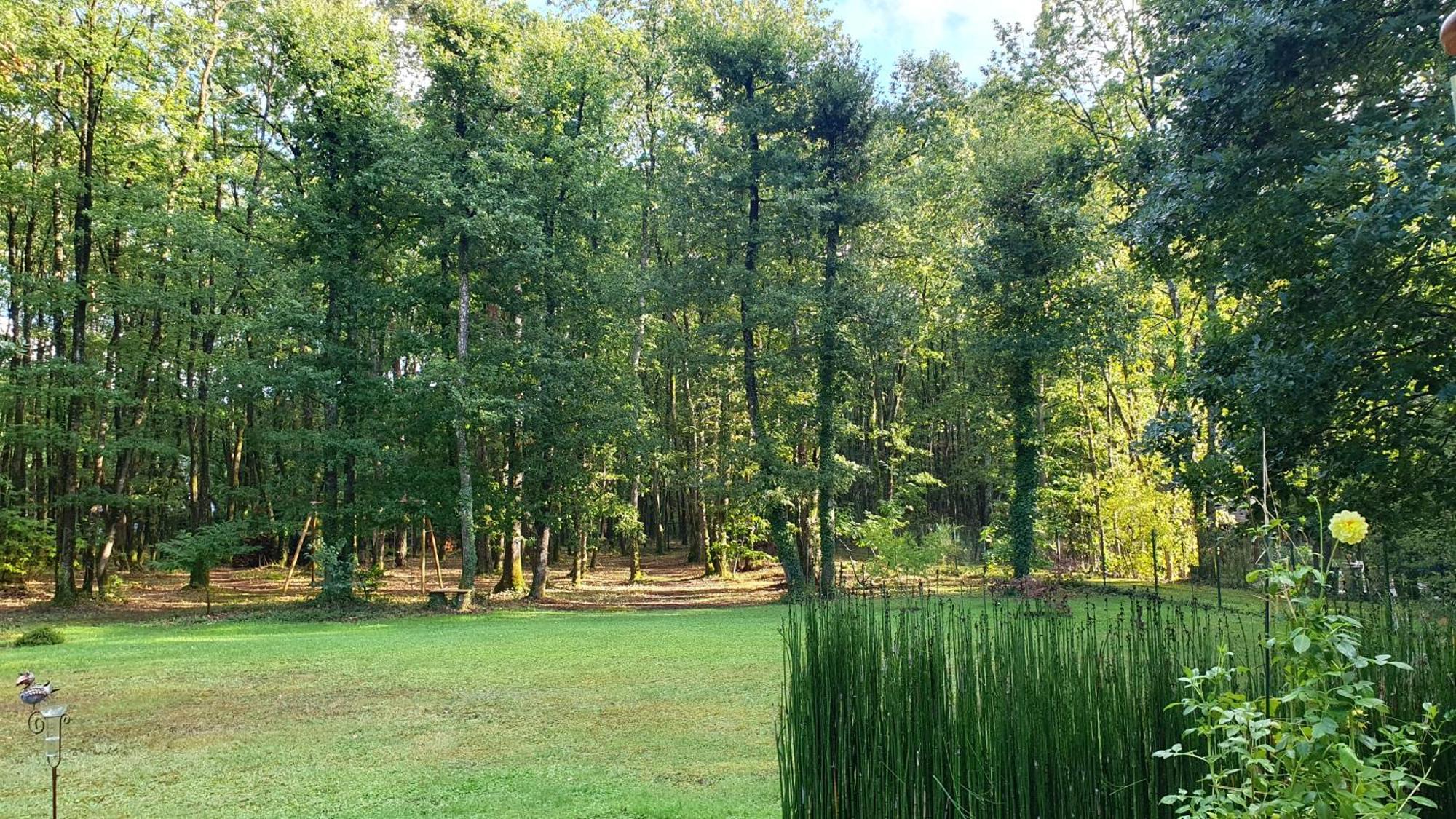 Logis Saponine Maison d'Hôtes climatisée Savonnières Exterior foto